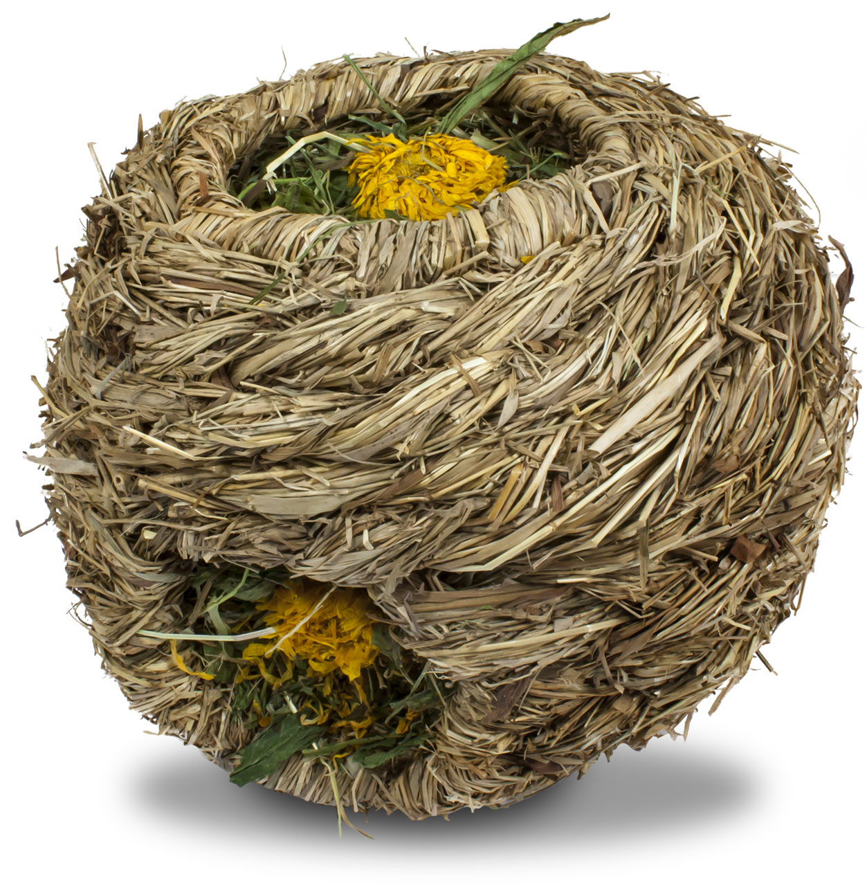 Zwergkaninchen - Löwenzahn Nest