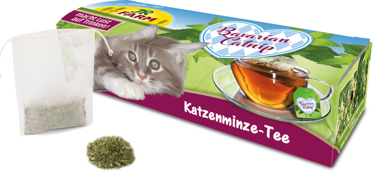 Katzenminze - Tee